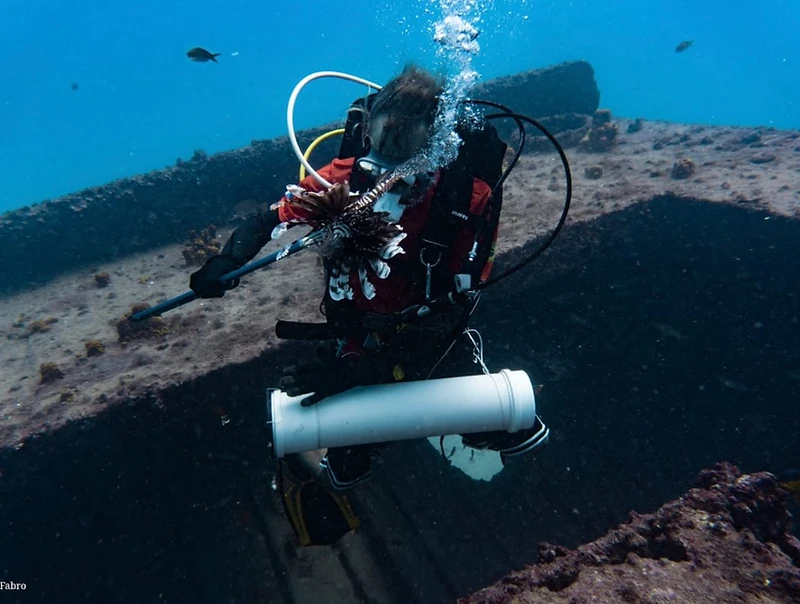 Mergulhadora explorando um naufrágio