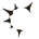 CogVora Solutions