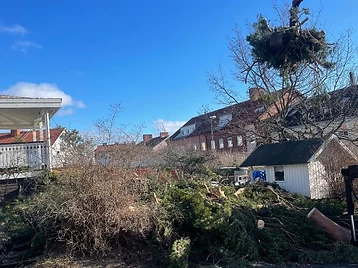 Bortforsling i Skellefteå 1