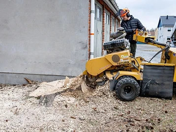 Stubbfräsning i Skellefteå 2
