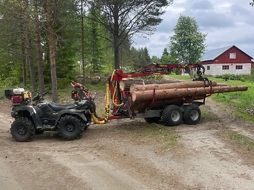 Ihopsamling av stammar och ris i Skellefteå 2