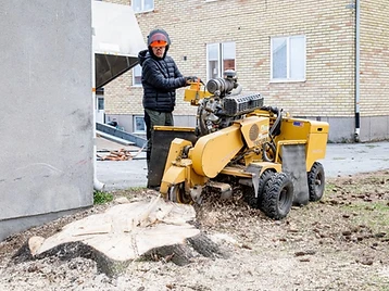 Stubbfräsning i Skellefteå 1
