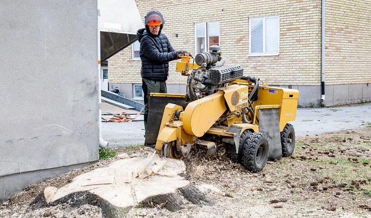 Stubbfräsning som gör tomten enklare att återställa