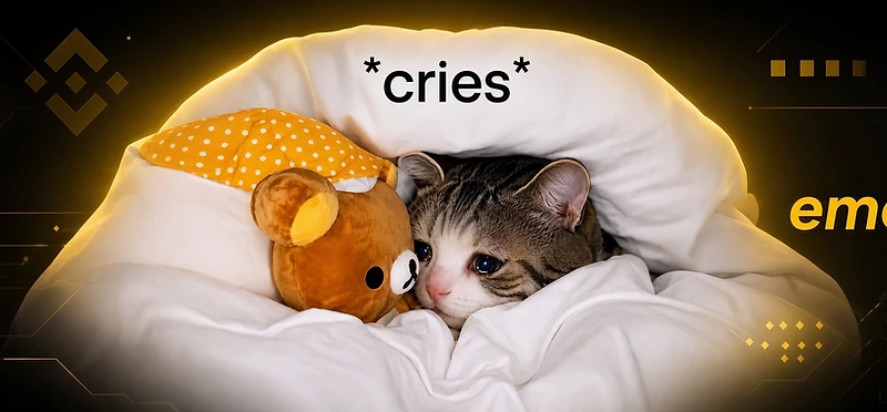 emo cat — the only cat BNB Chain ever named