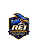 Roadrunners Elite Institute