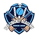 B&H Cricket Academy logo