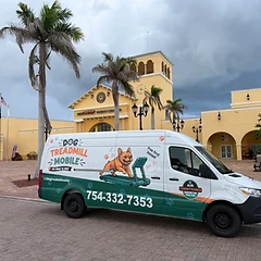 The Dog Treadmill Mobile van — a mobile dog gym serving Port St. Lucie, Florida
