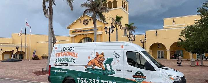 Is a Dog Treadmill a Good Way to Exercise Your Dog? — Dog Treadmill Mobile