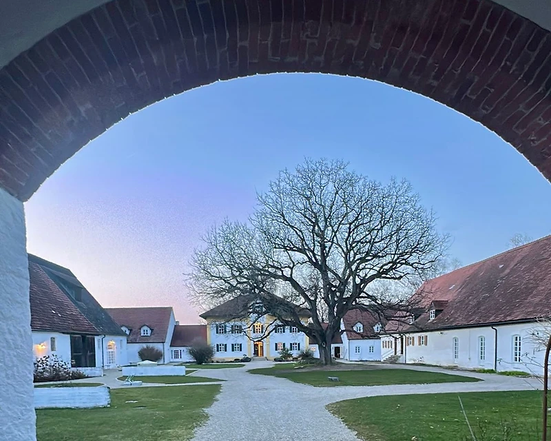 Ruhiger Innenhof mit altem Baum – Ort für Coaching und Klarheit