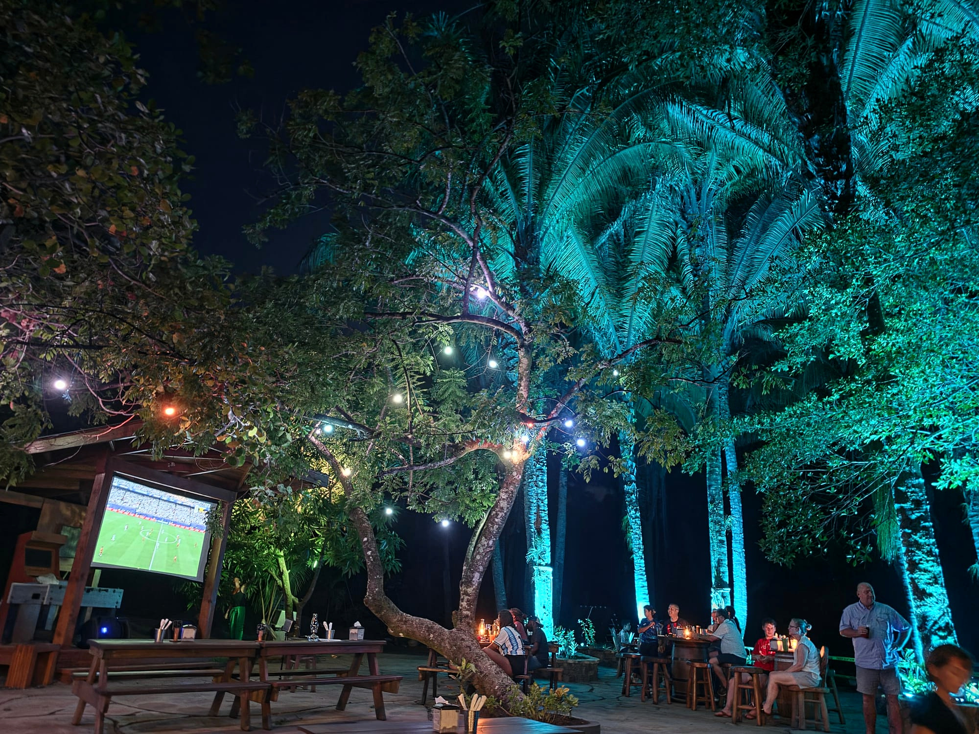 Night in the jungle