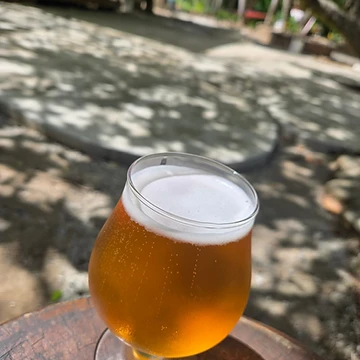 Beer tasting flight