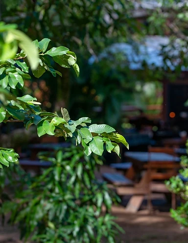 Brewery grounds