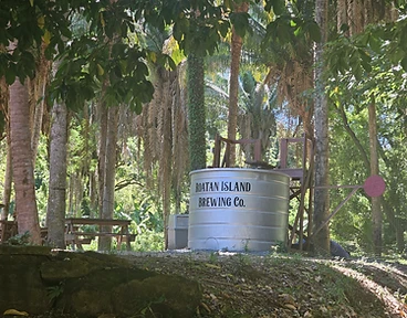 Brewing tank in the jungle