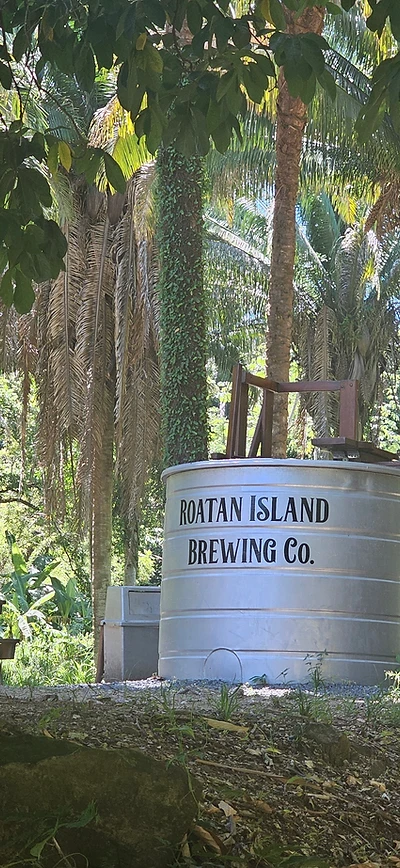 Fermentation tank in the jungle