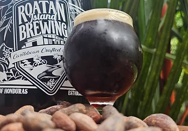 Stout Glass Set