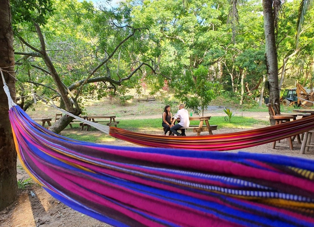 Garden hammocks