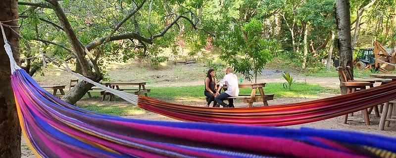 Hammocks in the brewery garden