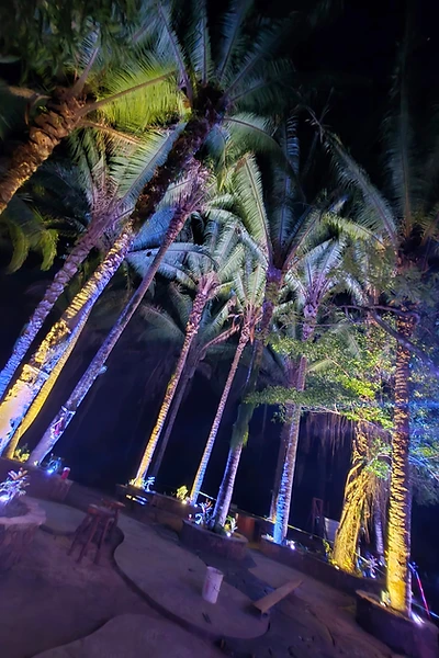 Nighttime at the brewery