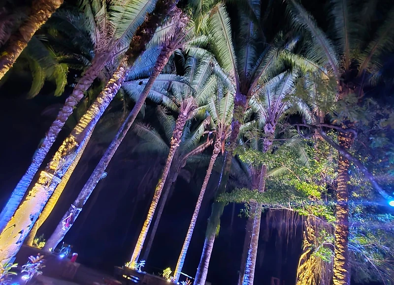 Brewery events at night