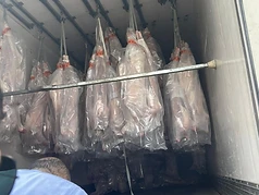 Frozen Meat (Chilled Carcasses)