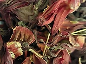 Hibiscus (Karkade)
