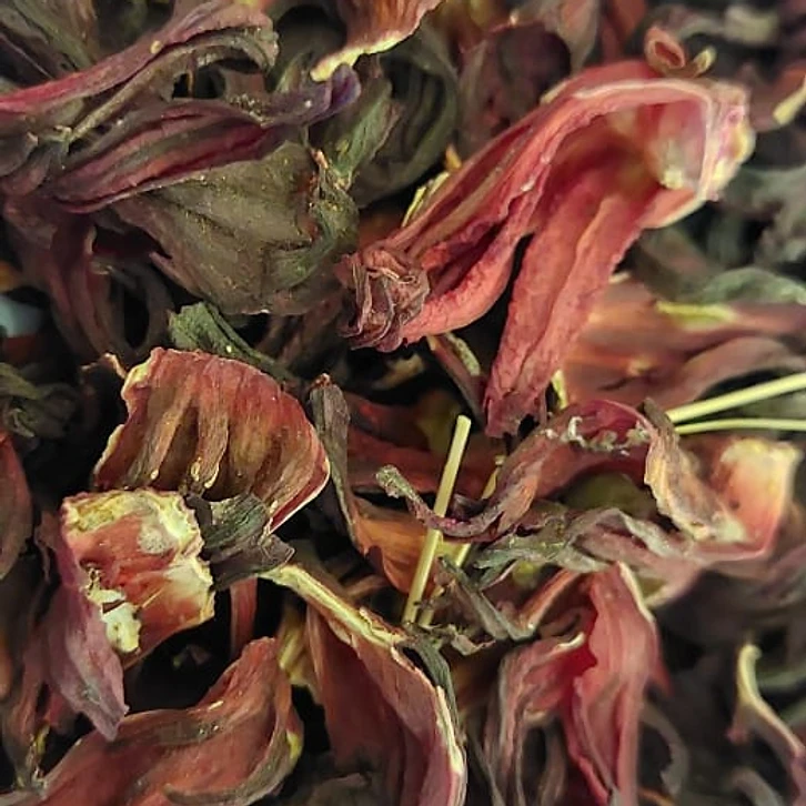 Hibiscus (Karkade) 1