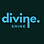 Divine Shine logo