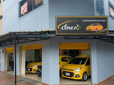 Instalaciones Taxis Conejo 2