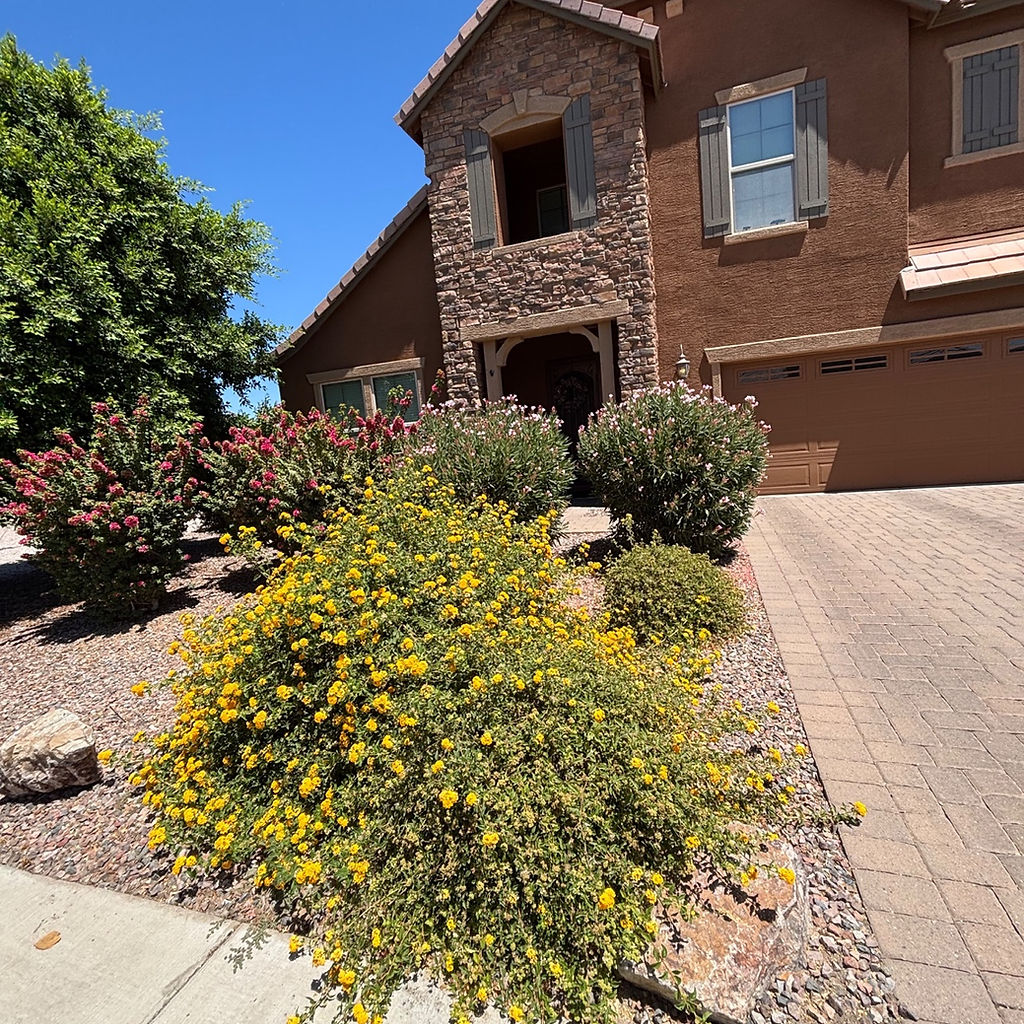 Landscape Transformation