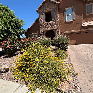Landscape Transformation