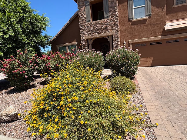 Landscape Transformation