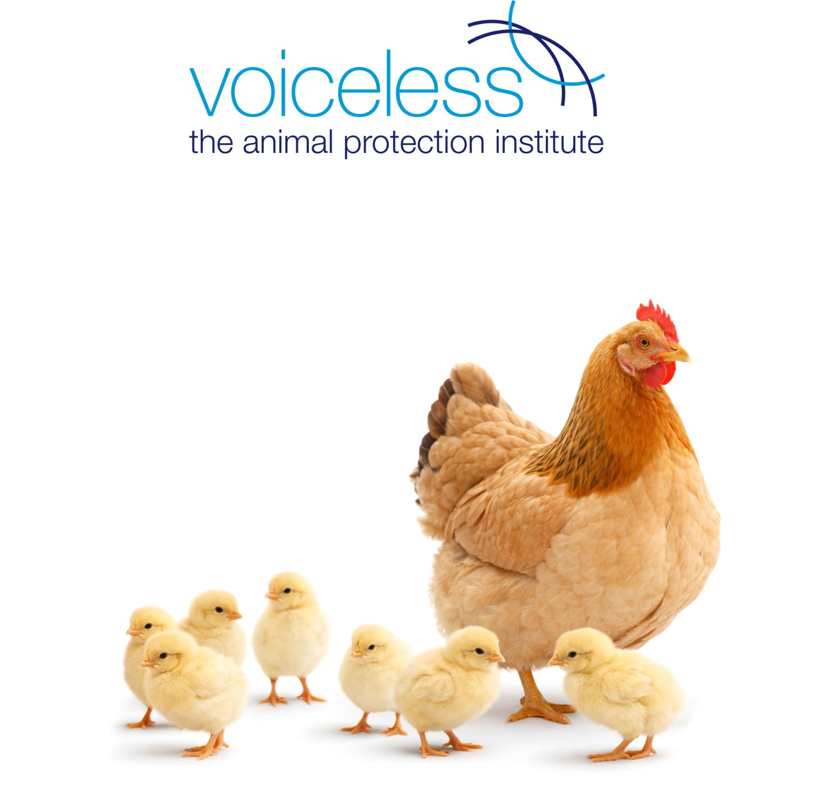 Giving Animals a Voice