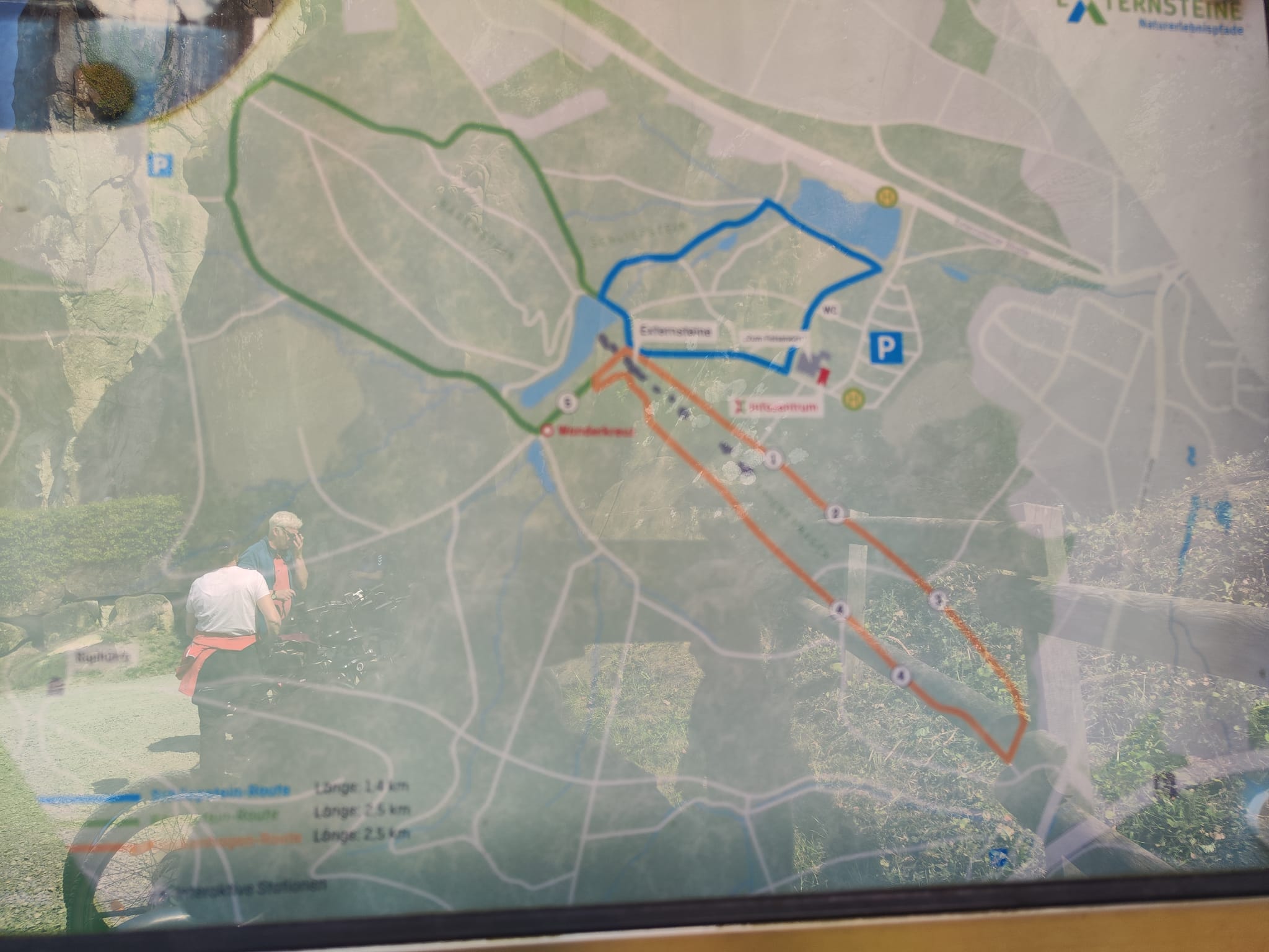 Wanderweg durch den Teutoburger Wald