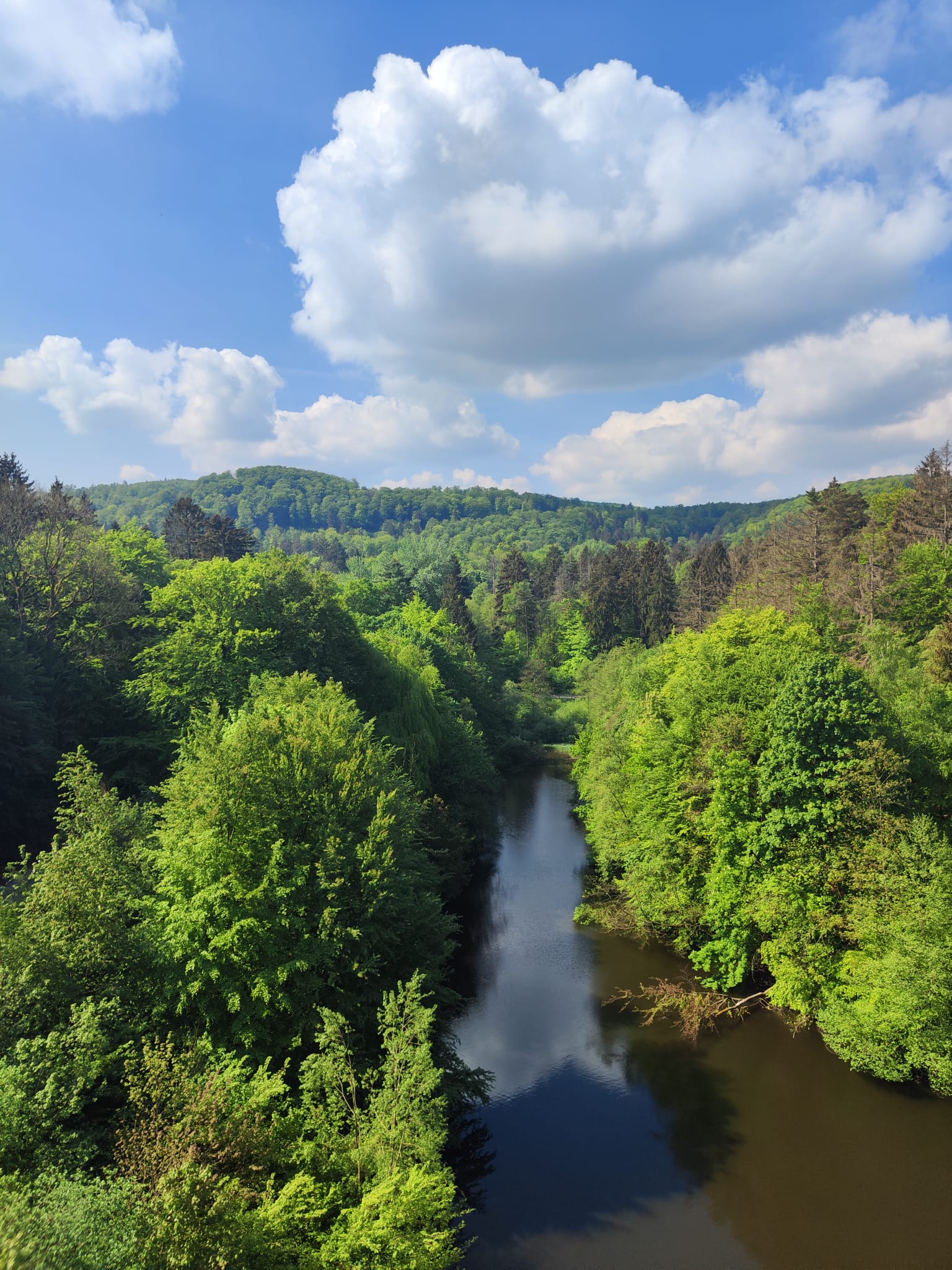 Am Fluss entlang – stilles Grün, tiefes Blau