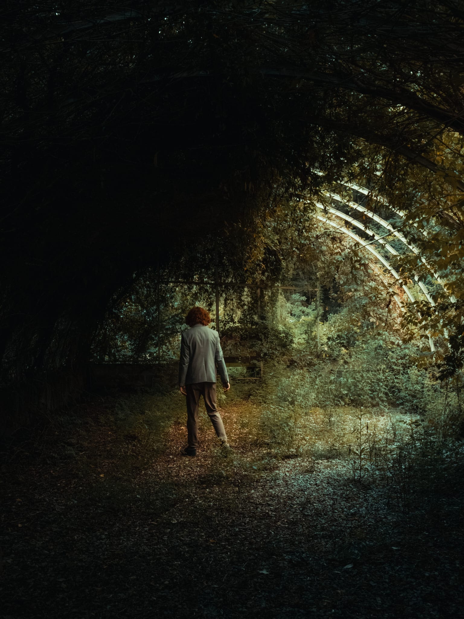 Editorial portrait — forest light