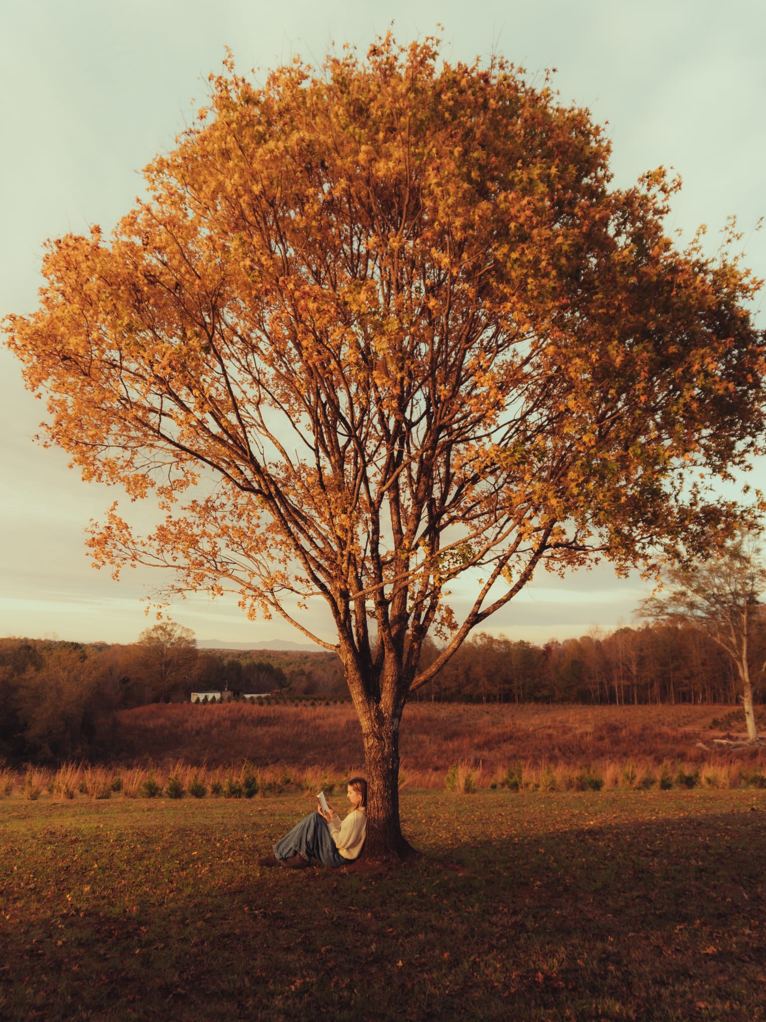 Golden hour portrait
