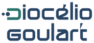 VPD BUILDER logo